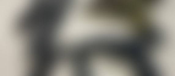 Suspeito de furtar carro-forte é preso com armas 9MM no Paraná