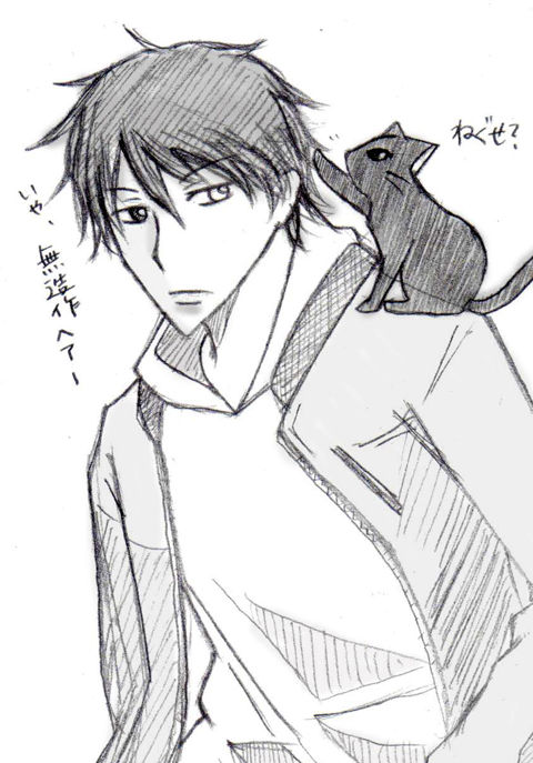 猫(UP)
