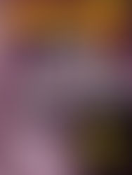 Revista Cineficción