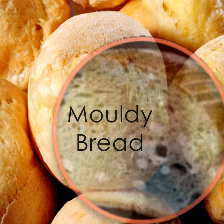 mouldy_edited.jpg
