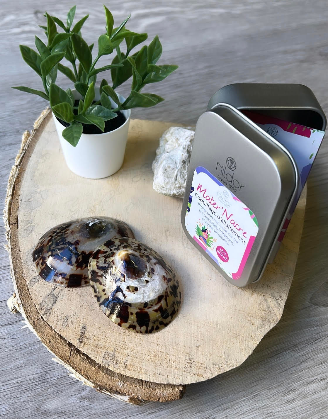 Coquillage d'allaitement