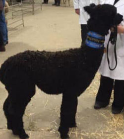 484551990_1123596089566464_2412115911899999569_n_edited