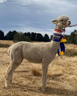 486572304_1191876386277287_1324460608581356127_n