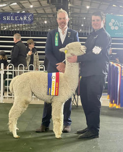 481325327_1170695138395412_898132439162618422_n