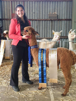 89336956_1120778194922137_2521579512844517376_n