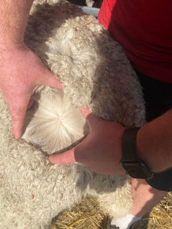 494192435_1225197869611805_618214319193011342_n