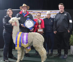 493571689_1225197736278485_7264860924183002831_n