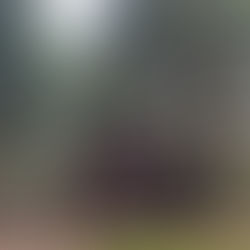 Raid Forez de Mai 2023