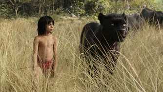 Review: The Jungle Book (2016)