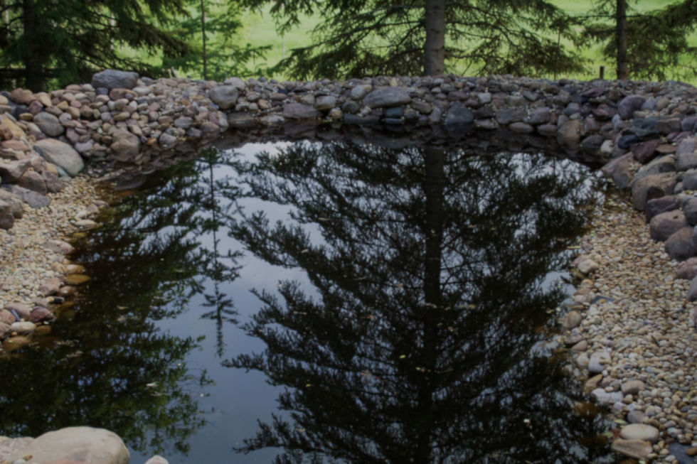 Pond_Edited.jpg
