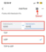 Google MESH Ethernet Source Connect Port Mapping