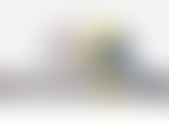 Macbook Neo