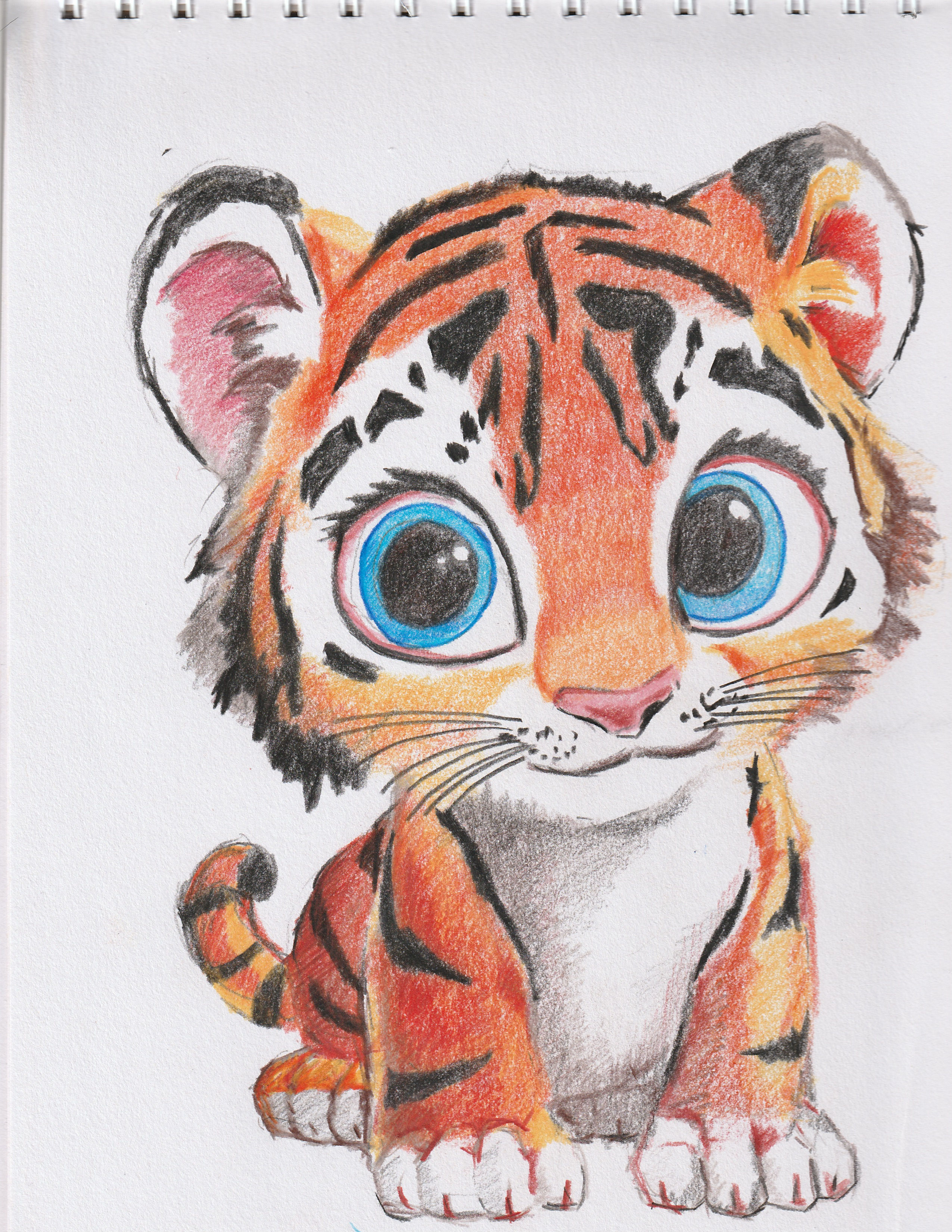 Adorable Tiger cub portrait