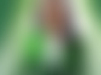 Strategic Swift Decisions