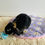 Thumbnail: Circular Bunny Bed 45cm x 45cm