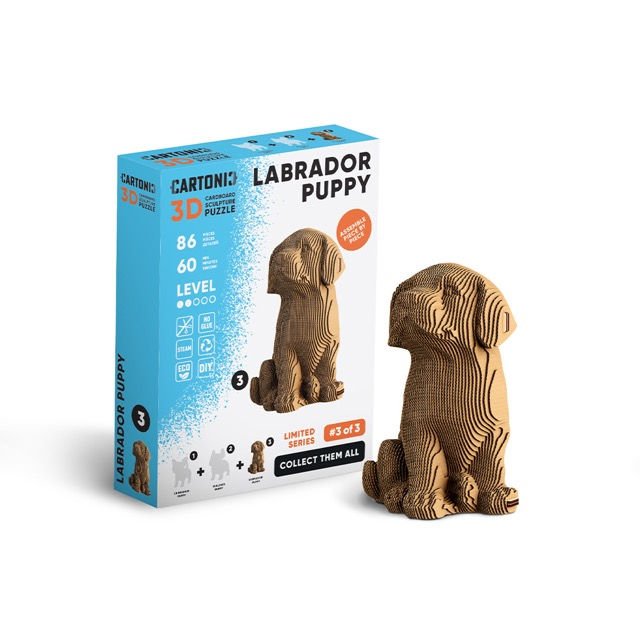 Cartonic Labrador Puppy Model