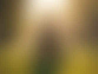 Diş Çekimi Sonrası Dikkat Edilmesi Gerekenler