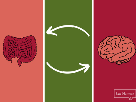 The Gut Brain Connection