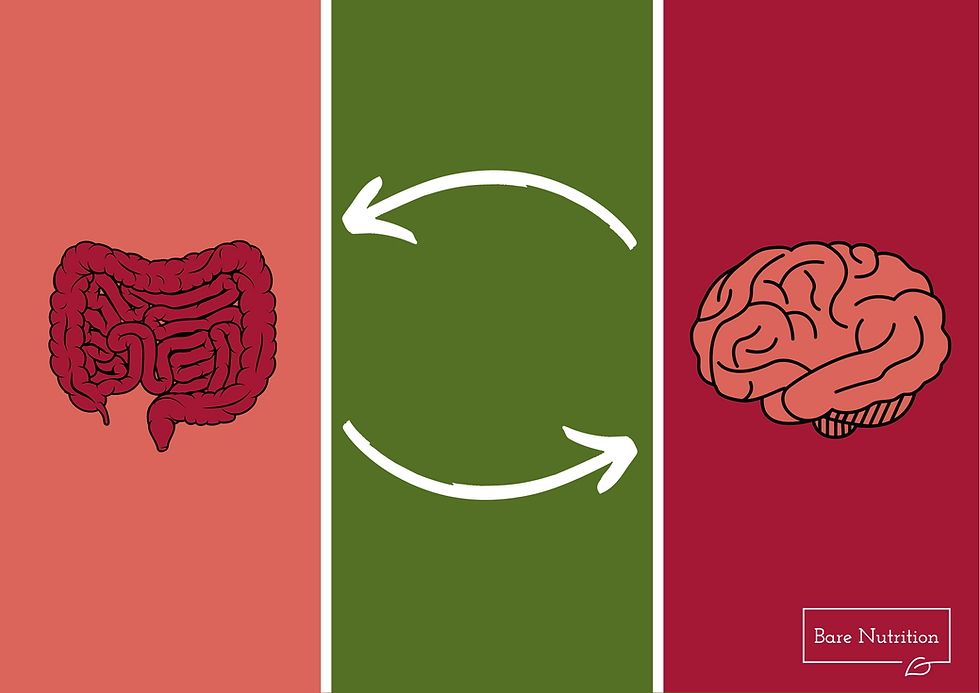 The Gut Brain Connection