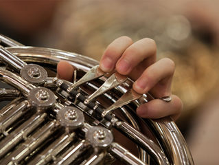 Brass or Woodwind Instrument? Which one?
