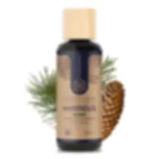 BIO Saunaaufguss weitblick - Fichte & Kiefer - 100ml