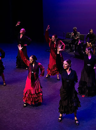 Desplante-Show-Flamenco-Sur-San-Diego-Tientos
