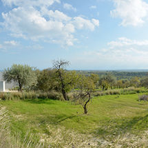 Tenuta Siciliana