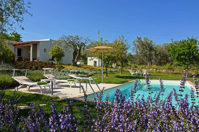 Tenuta il Cavaliere d'Italia