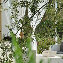 Villa il Tuffetto