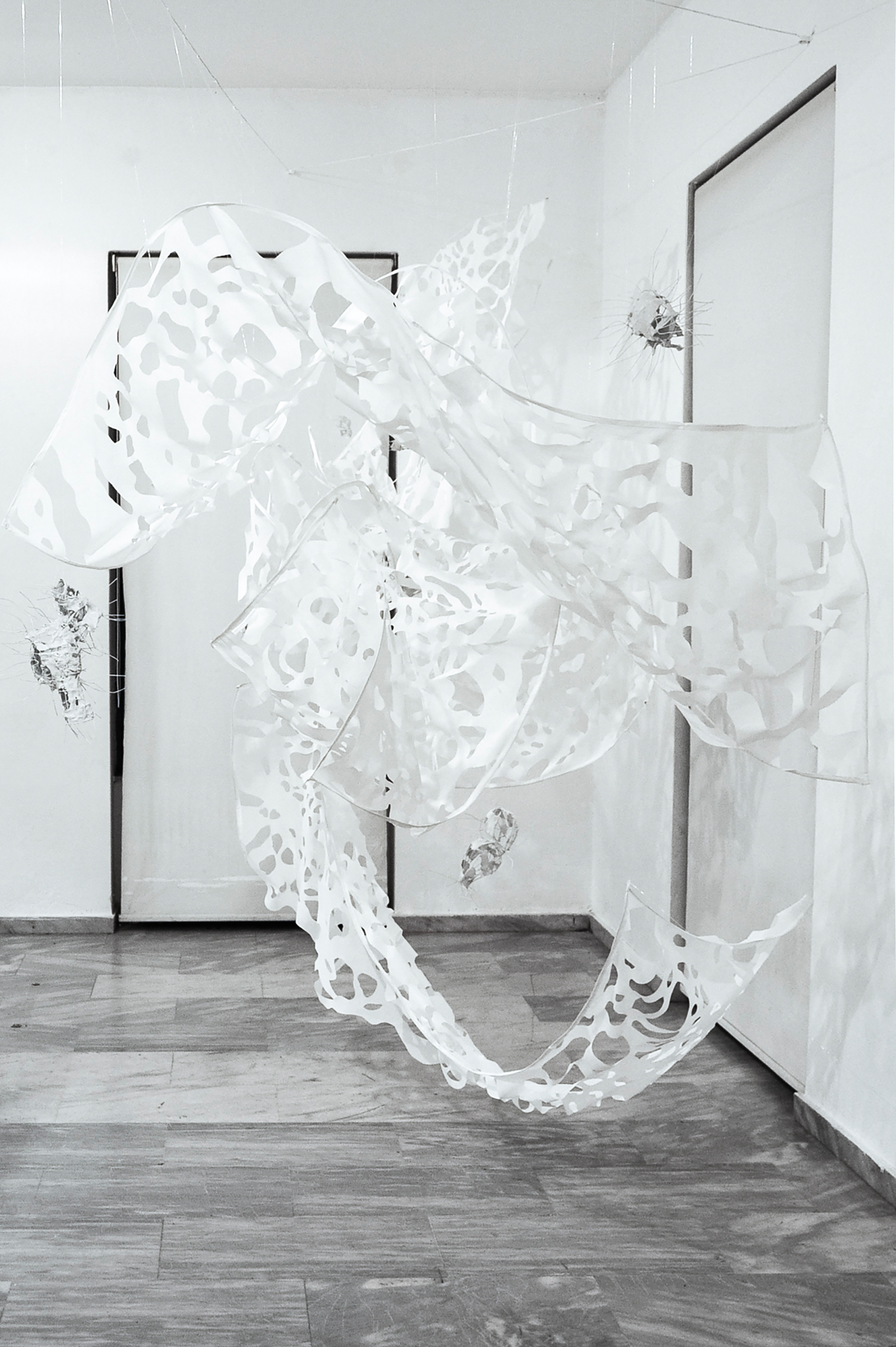 Theodore Dushi & Victoria Ioannidou