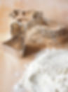 AgriBioa