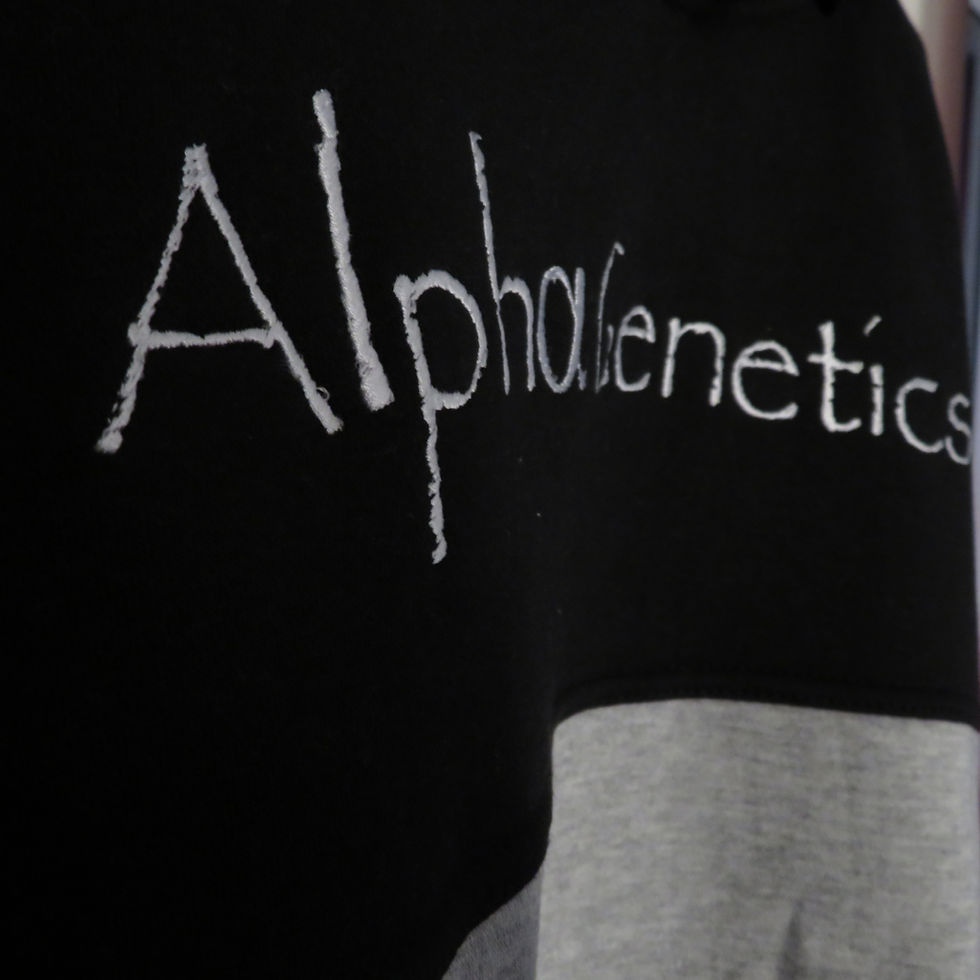 Miniaturbild: AlphaGenetics essential Hoodie two tone limited edition