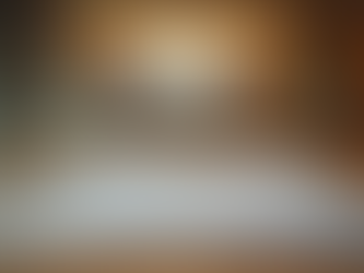 The Core Functions of a Hotelier Office: Essential Insights for Hospitality Success