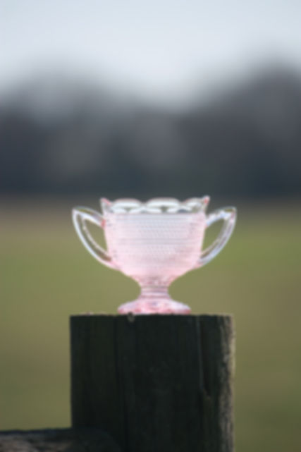 Pink Depression Scalloped Rim Sugar Bowl