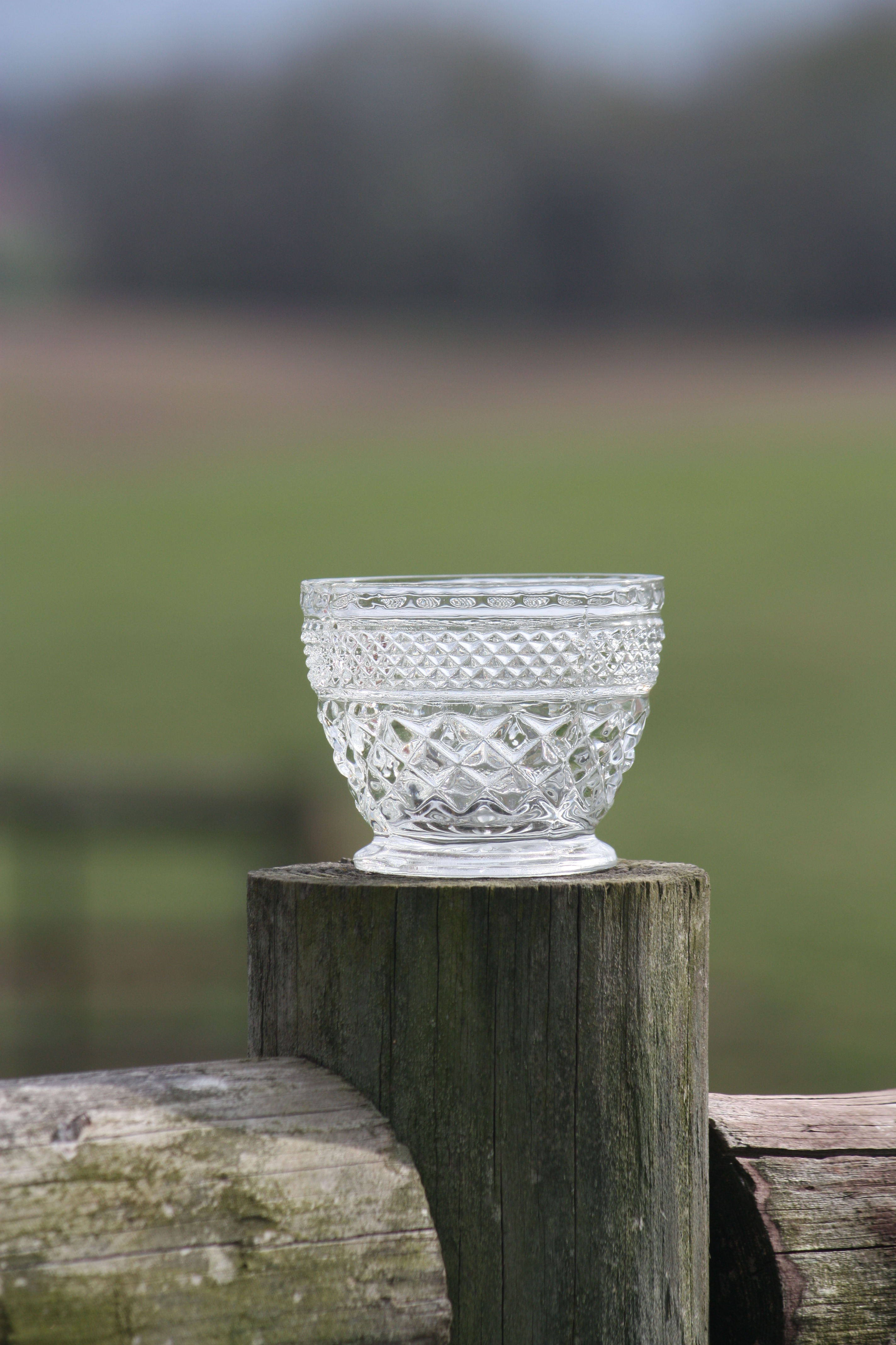 Wexford Anchor Hocking Crystal Sugar