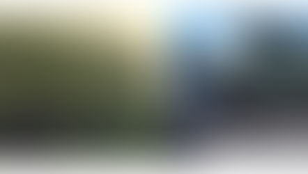 52 Anos do Hospital dos Platadores de Cana