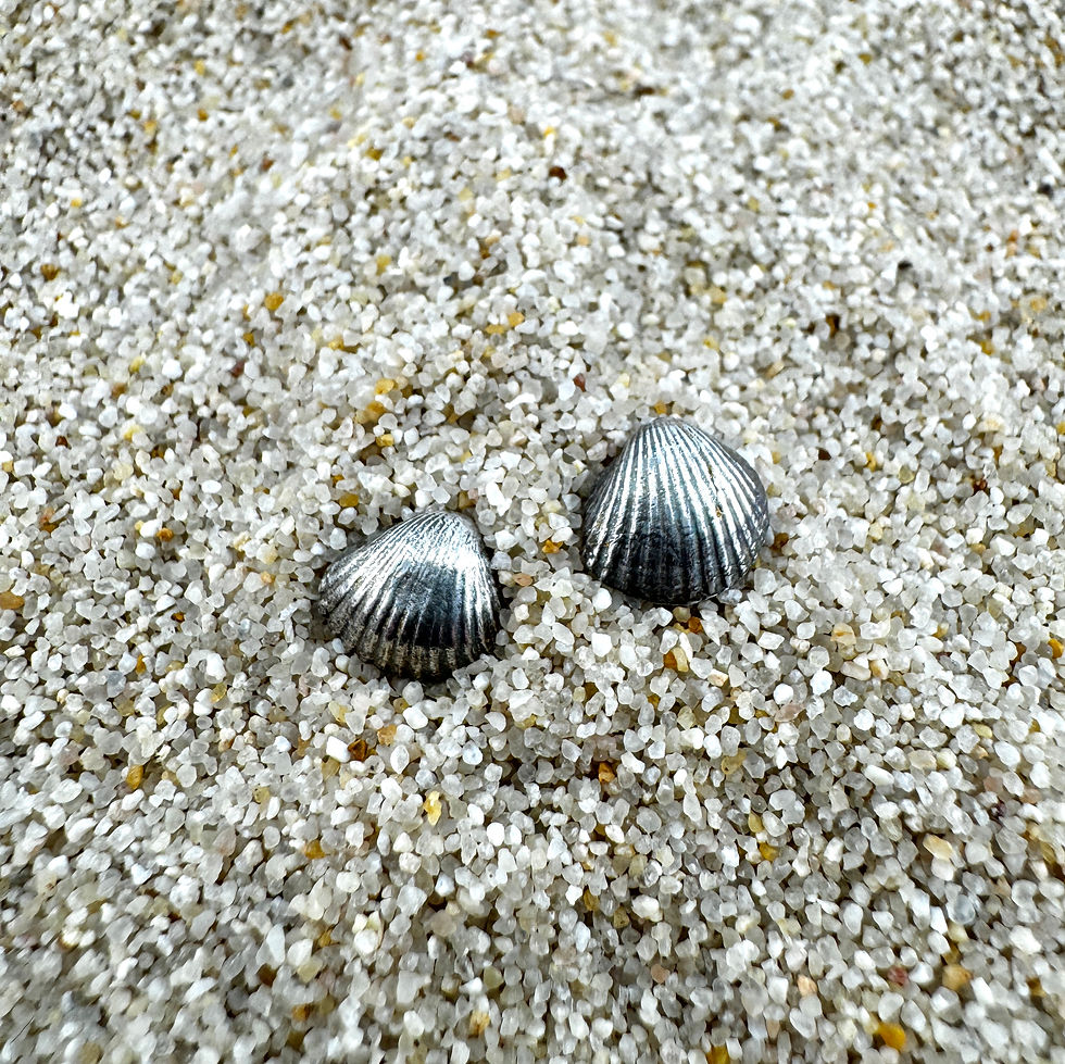 Thumbnail: Small seashell stud earrings