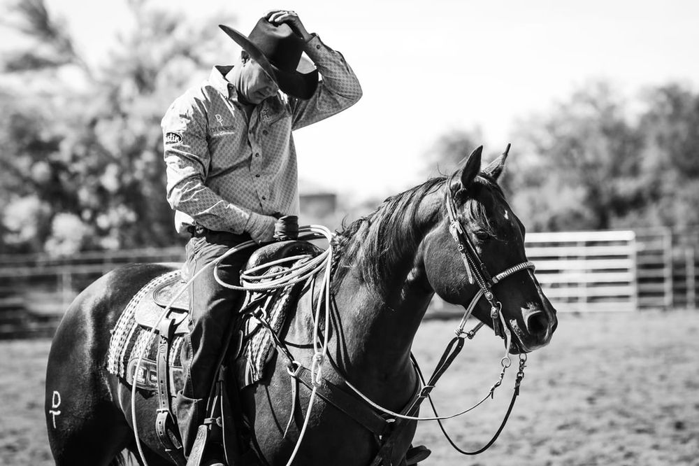 The Greatest Rope Horse Trainer You've Never Heard Of (YET)