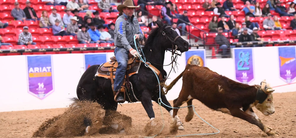 Horse of the Year DT Sugar Chex Whiz Set to Make NFR Debut With Worley