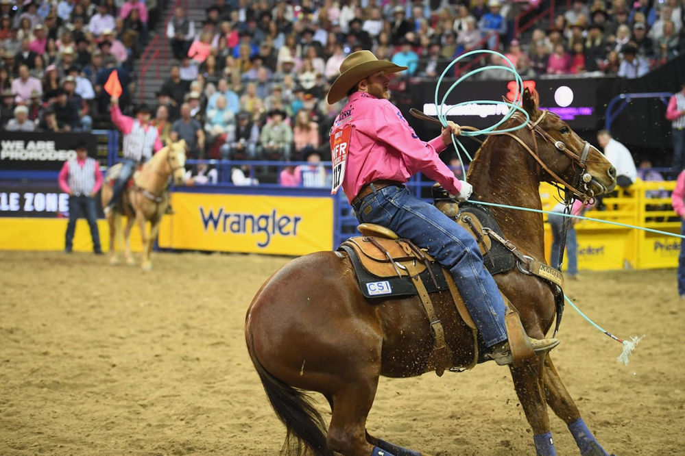 Horse of the Year DT Sugar Chex Whiz Set to Make NFR Debut With Worley