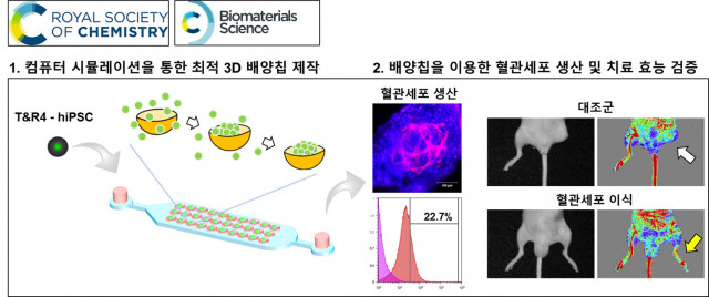 티앤알바이오팹, 역분화 줄기세포 기반 혈관 세포치료제 동물 효능 실험 성공