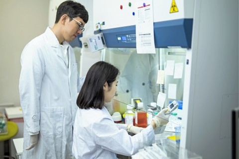 PLATBIO, 3가지 신약 후보 물질 항암제 개발 착수