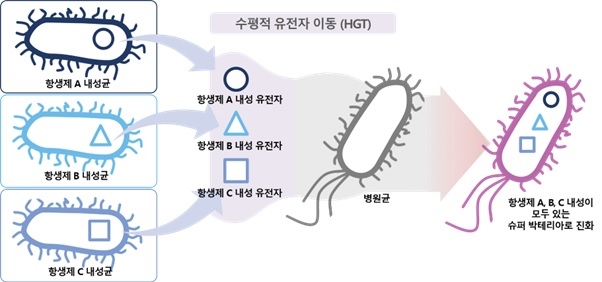 이지놈, 슈퍼 박테리아 출현 원인 ‘수평적 유전자’ 이동 분석하는 세계 최정밀 분석 플랫폼 발표