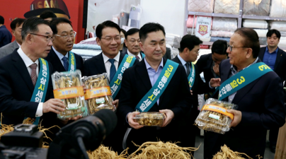 ‘인삼 대중화’ 위한 햇수삼 할인행사로 소비자 관심 높여