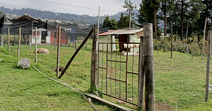 Corral de Borregos.png