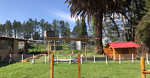 Captura de Pantalla 2025-08-14 a la(s) 23.42.32.png