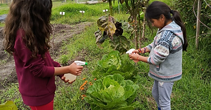 Captura de Pantalla 2025-08-19 a la(s) 16.26.11.png