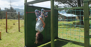 Captura de Pantalla 2025-08-14 a la(s) 23.42.45.png