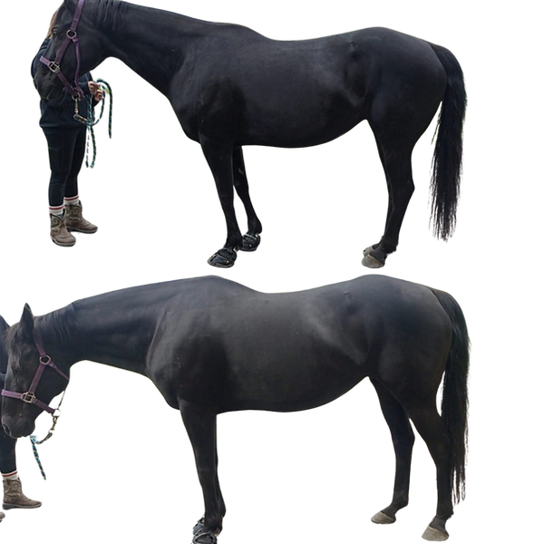Image9_edited.png