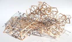 Basswood and Wire Topography